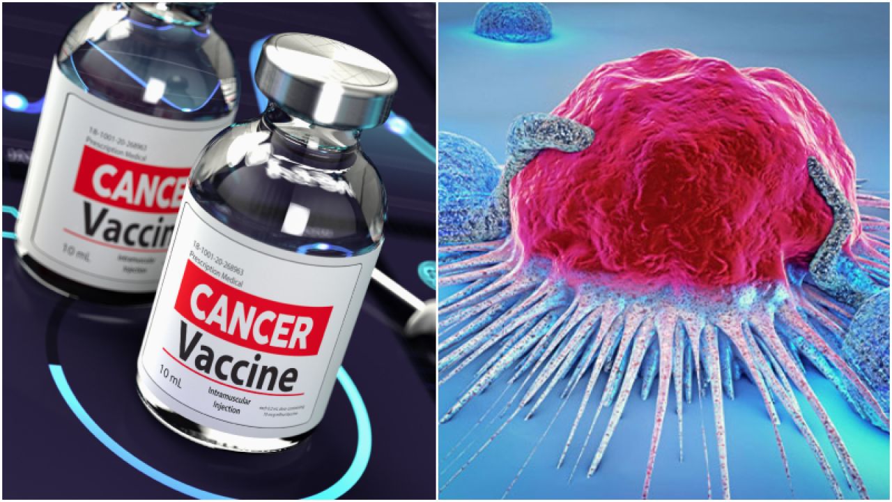 ক্যানসার চিকিৎসায় যুগান্তকারী সাফল্য: নতুন ভ্যাকসিনে শতভাগ সাড়া