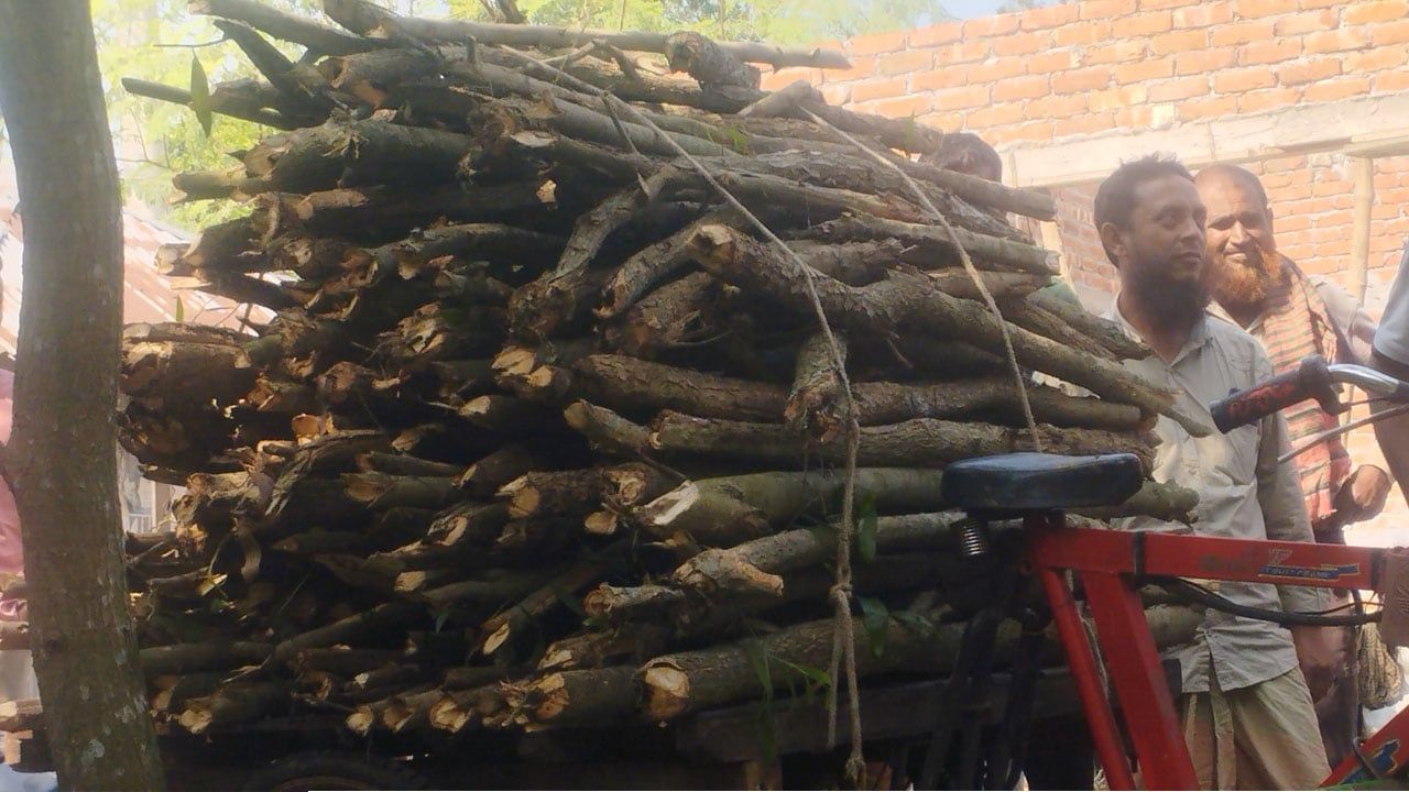 দিনাজপুরে বন বিভাগের গাছ কাটার অভিযোগে আ.লীগ নেতা ও দুই ছেলে আটক