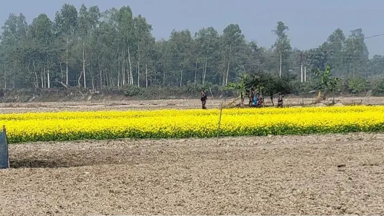 আন্তর্জাতিক আইন অমান্য করে কুড়িগ্রাম সীমান্তে বিএসএফের কাঁটাতার ও সড়ক নির্মাণের চেষ্টা