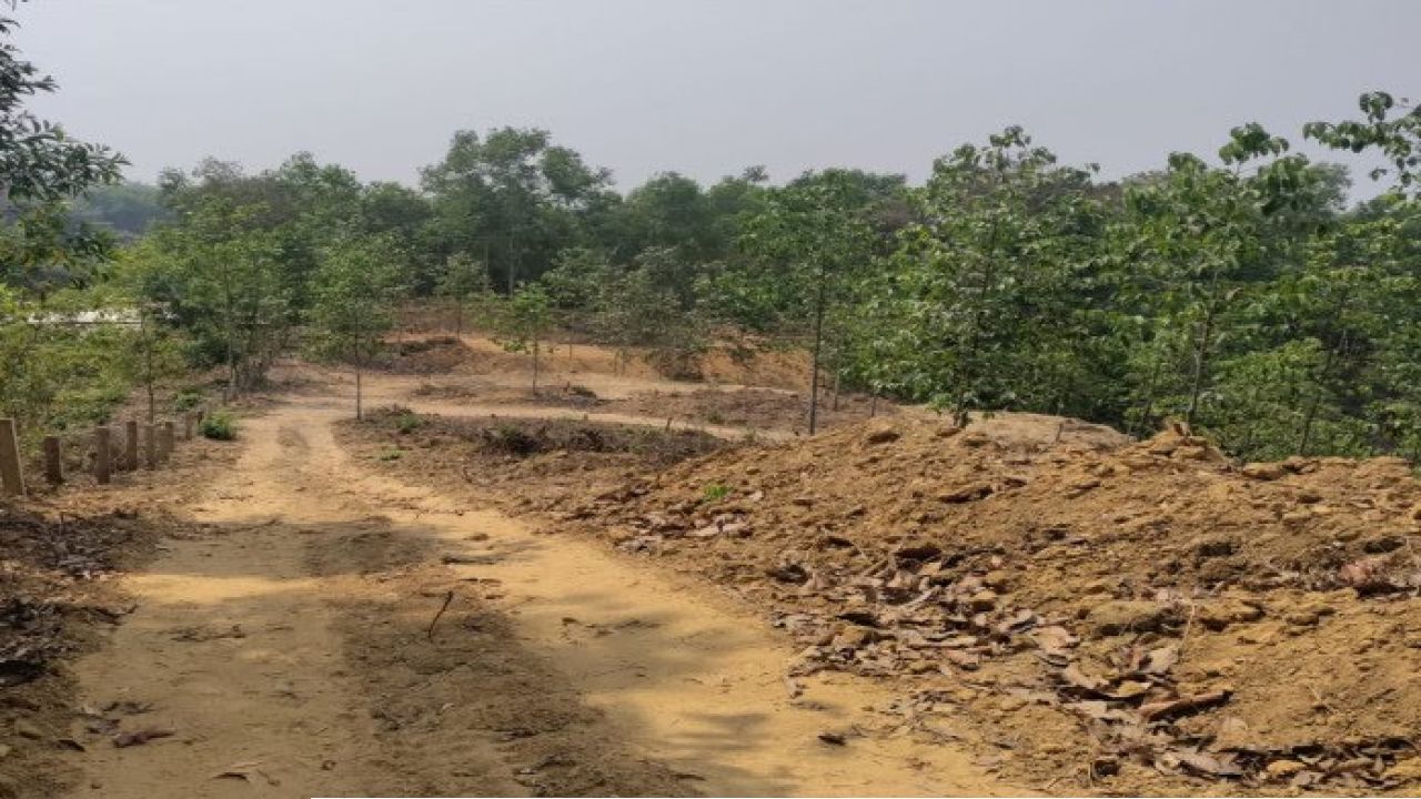 উখিয়ায় অবৈধ পাহাড় কাটার বলি আরও এক শ্রমিক: প্রশাসনের নজরদারি নিয়ে প্রশ্ন