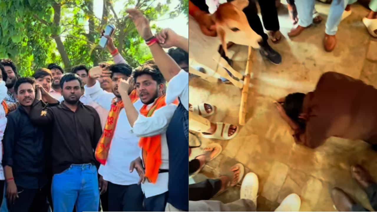 ভারতে মুসলিম যুবককে জোরপূর্বক বাছুরের পায়ে মাথা নোয়াতে বাধ্য করল হিন্দুত্ববাদীরা